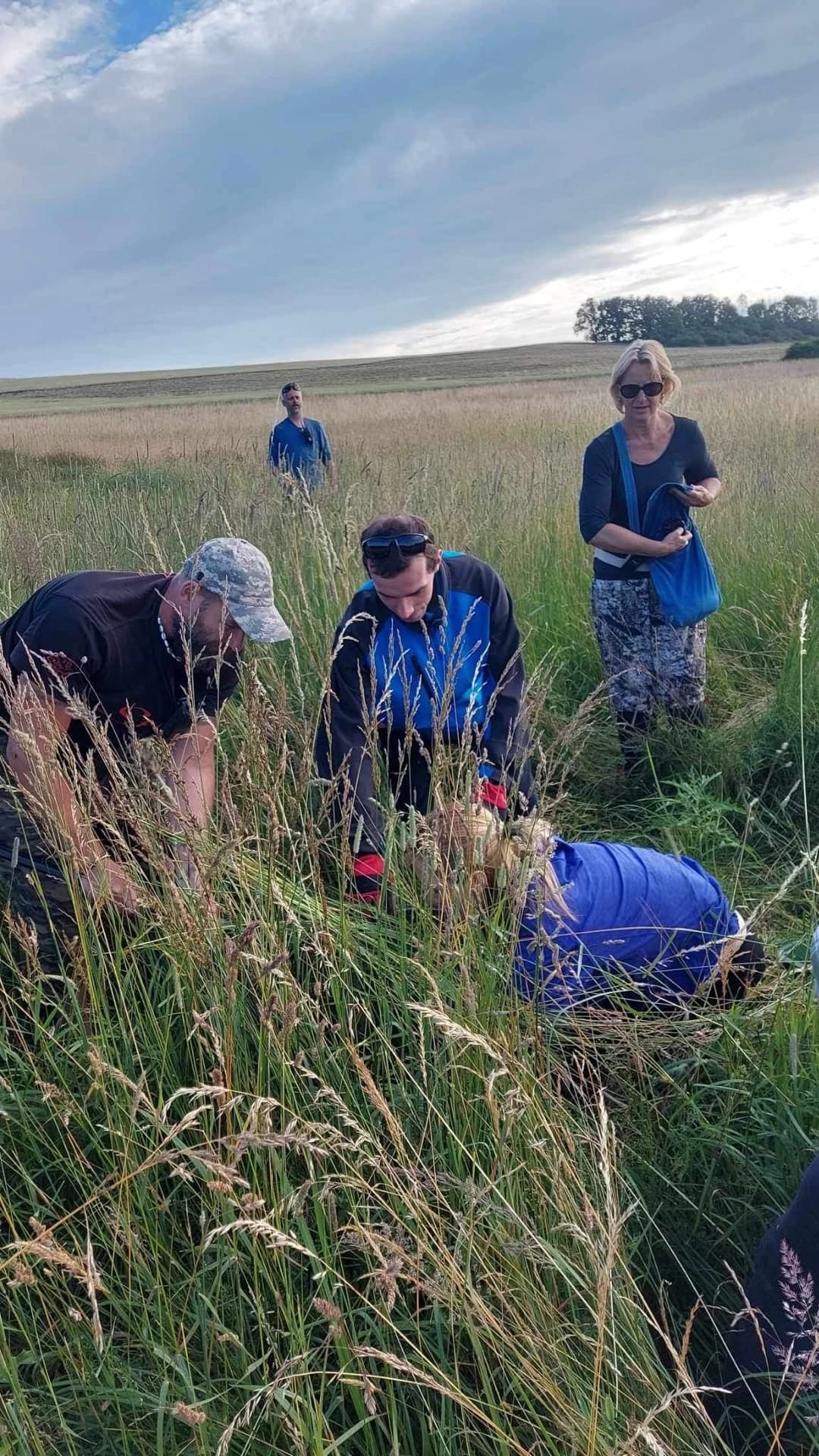 Srnče v bezpečí po záchraně